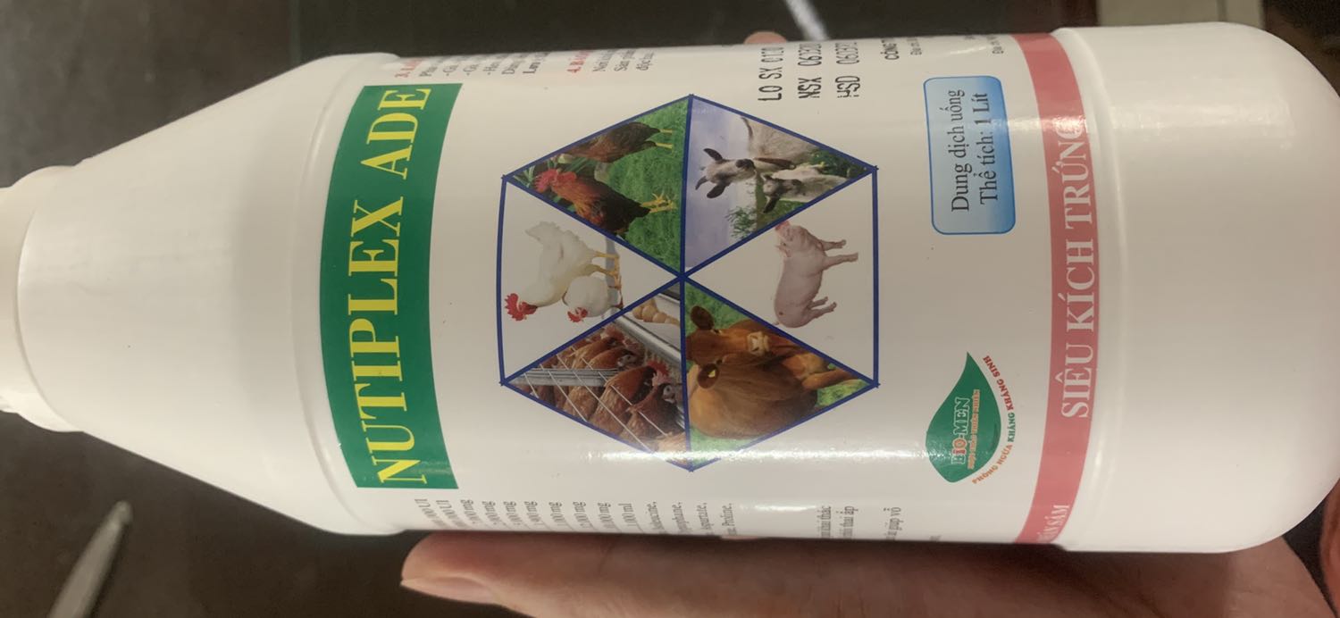 Vịt bị sụt đẻ. Dùng ổn hẳn. Bà con nên sử dụng nhé. 
Giao rất nhanh. Vịt bị sụt đẻ. Dùng ổn hẳn. Bà con nên sử dụng nhé. 
Giao rất nhanh.