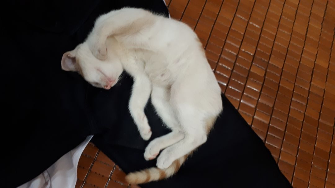 sản phẩm chất lượng, giao hàng khá nhanh sản phẩm chất lượng, giao hàng khá nhanh