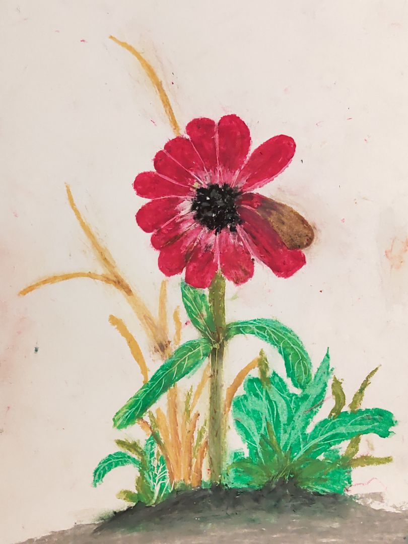 chất lượng phù hợp với giá. Không thể đòi hỏi thêm với giá này. Phù hợp cho người mới, trải nghiệm hài lòng.