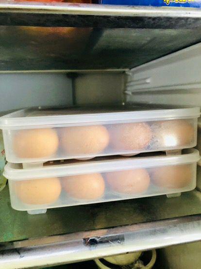 Hàng giống hình, chất lượng ok, giao hàng nhanh chóng, tư vấn nhiệt tình, nói chung là khá hài lòng đánhh giá 5 sao cho shop. hợp tủ lạnh to, tủ nhỏ thì để hết nhiều diện tích lắm, quả trứng to để cũng khó