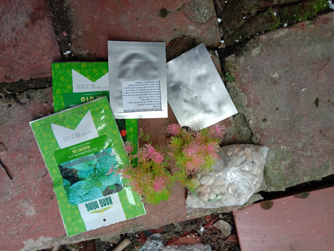 mong tỉ lệ hạt nảy mầm cao