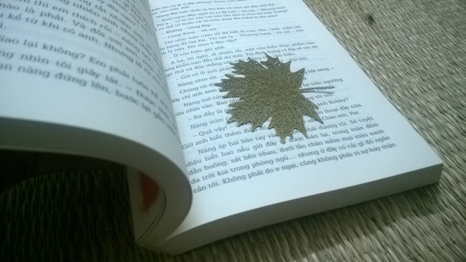 Một câu chuyện rất hay về tình bạn, tình yêu. Tác giả vẽ nên một khung cảnh chân thật đến lạ lùng về nước Đức thời kỳ hậu chiến tranh, nơi mà con người chật vật để sống. Ở đó, dù hoàn cảnh có thế nào, chúng ta vẫn có thể thấy được sự tồn tại của tình bạn chân thành đến không cần lời nói, tình yêu trong sáng không cầu vụ lợi.
Chất lượng sách rất ổn, thiết kế bìa đẹp.