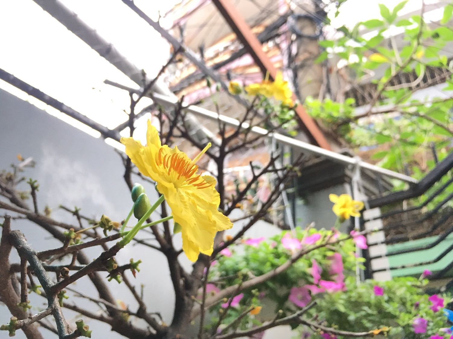 Sách khá chi tiết về nội dung nhưng cách trình bày có phần đơn điệu và hình ảnh không thật sự bắt mắt.
Xin lỗi vì lười chụp ảnh thực tế.