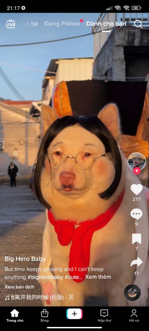 Chất lượng rất tốt.