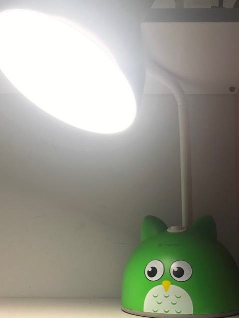 Giá rẻ, đèn rất chắc chắn và sáng nữa!
Hy vọng bóng đèn sau này nếu hư, có thể mua bóng khác thay vào, kiểu bóng đèn led tròn.