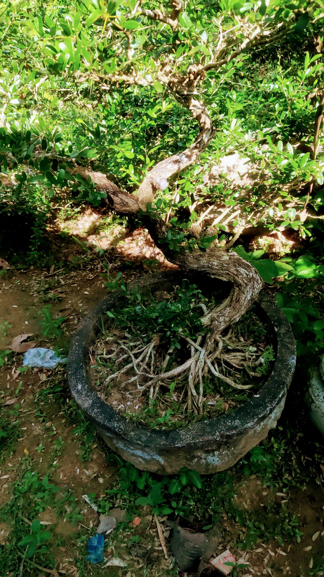 hàng đóng gói cẩn thận và chất lượng . sẽ còn ủng hộ