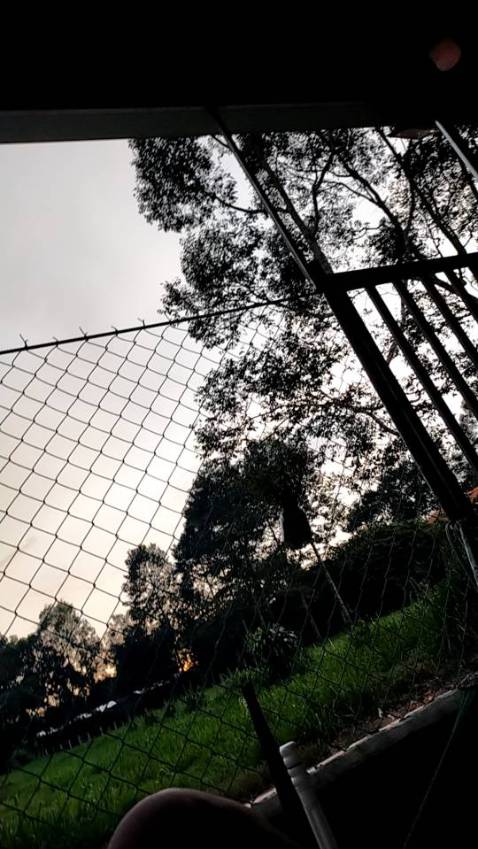 Giao hàng nhanh, sản phẩm đúng như mô tả, nói chung là ok ,hài lòng