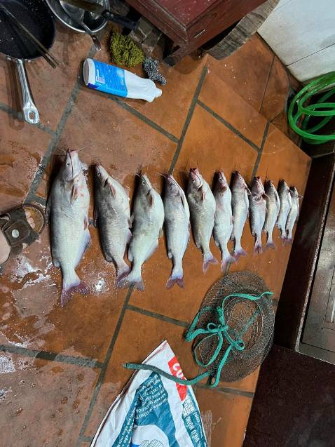 Hàng đặt cho bố không biết như nào nhưng không thấy kêu ca gì thì chắc hàng ổn đó ạ. Giao hàng cũng cực kì nhanh 😁🥰