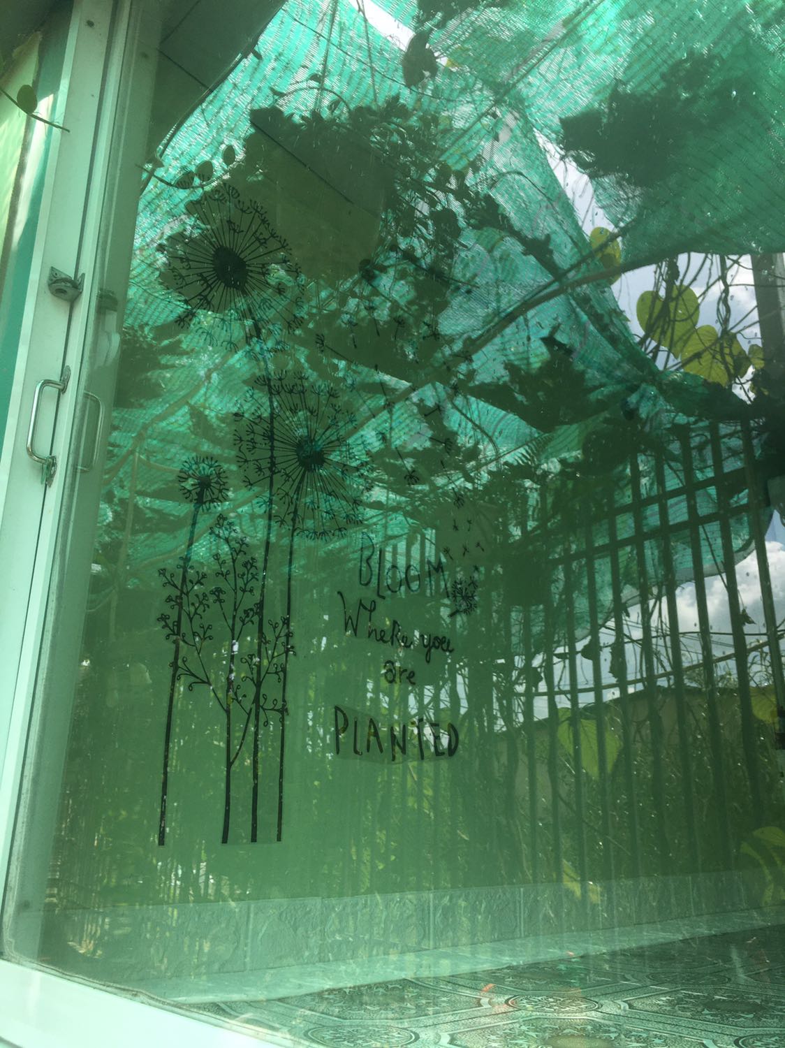 Rất đẹp, dán xong phòng dễ thương hơn hẳn, dễ dán. Cảm ơn shop!