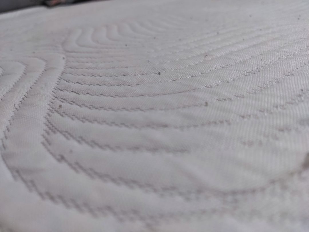 Sau 1 tháng sử dụng. Lúc đầu sử dụng khá thích. Nằm mát hơn bình thường, tuy nhiên cảm giác khá trơn, chắc do mới. Sau khi giặt mấy nước thì bớt trơn. sau đó là sản phẩm bị đổ lông, gây ngứa. Không biết mình mua sản phẩm bị lỗi hay gì không?