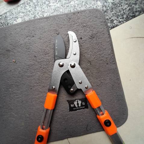 Kéo tốt xịn xò , chất lượng
Giá rẻ nữa. Made in nhật - đài loan
Cáng nhôm bọc su êm ái
Shop tư vấn khá nhiệt tình và