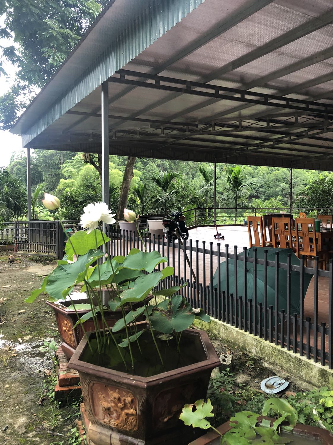 Sản phẩm đẹp mềm mại