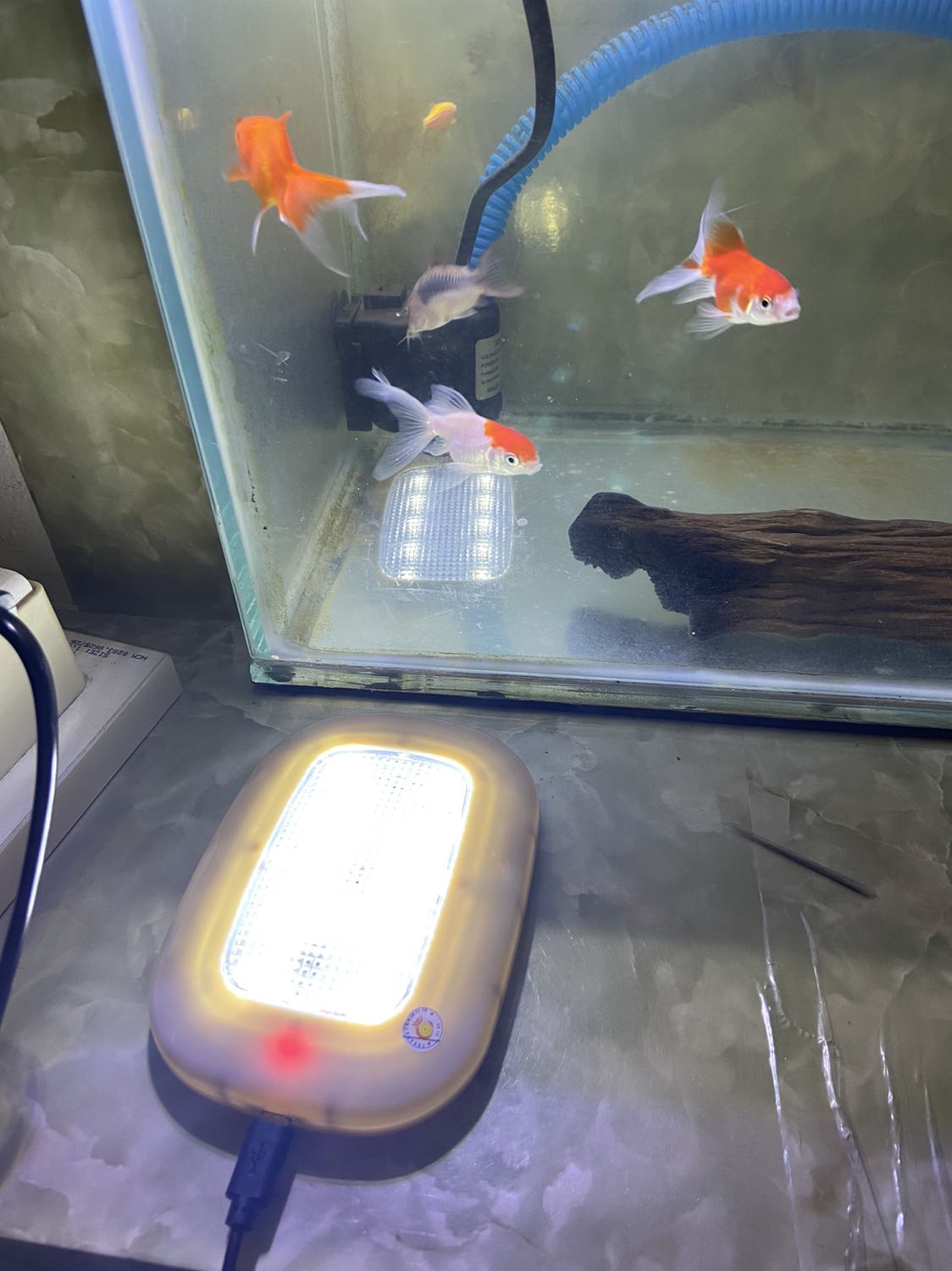 Giao nhanh. Đúng hình. Mình đặt khung màu trắng mà giao màu cafe nhưng ko sao đèn rất sáng