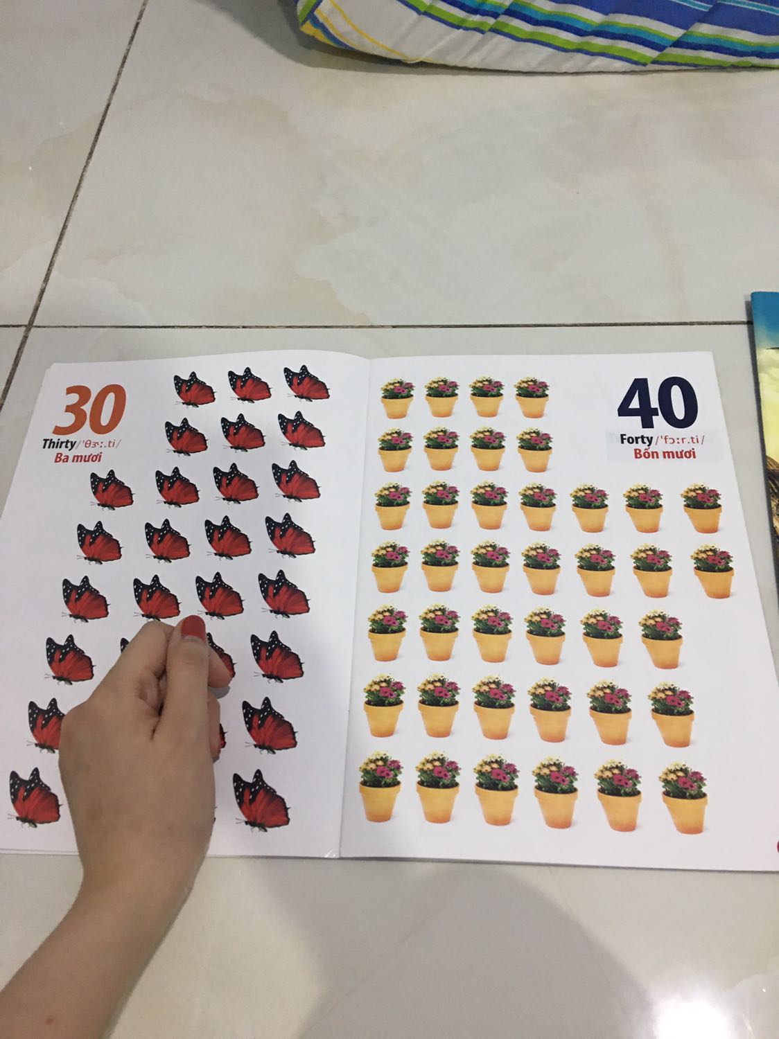 Màu sắc và hình to, rõ đẹp