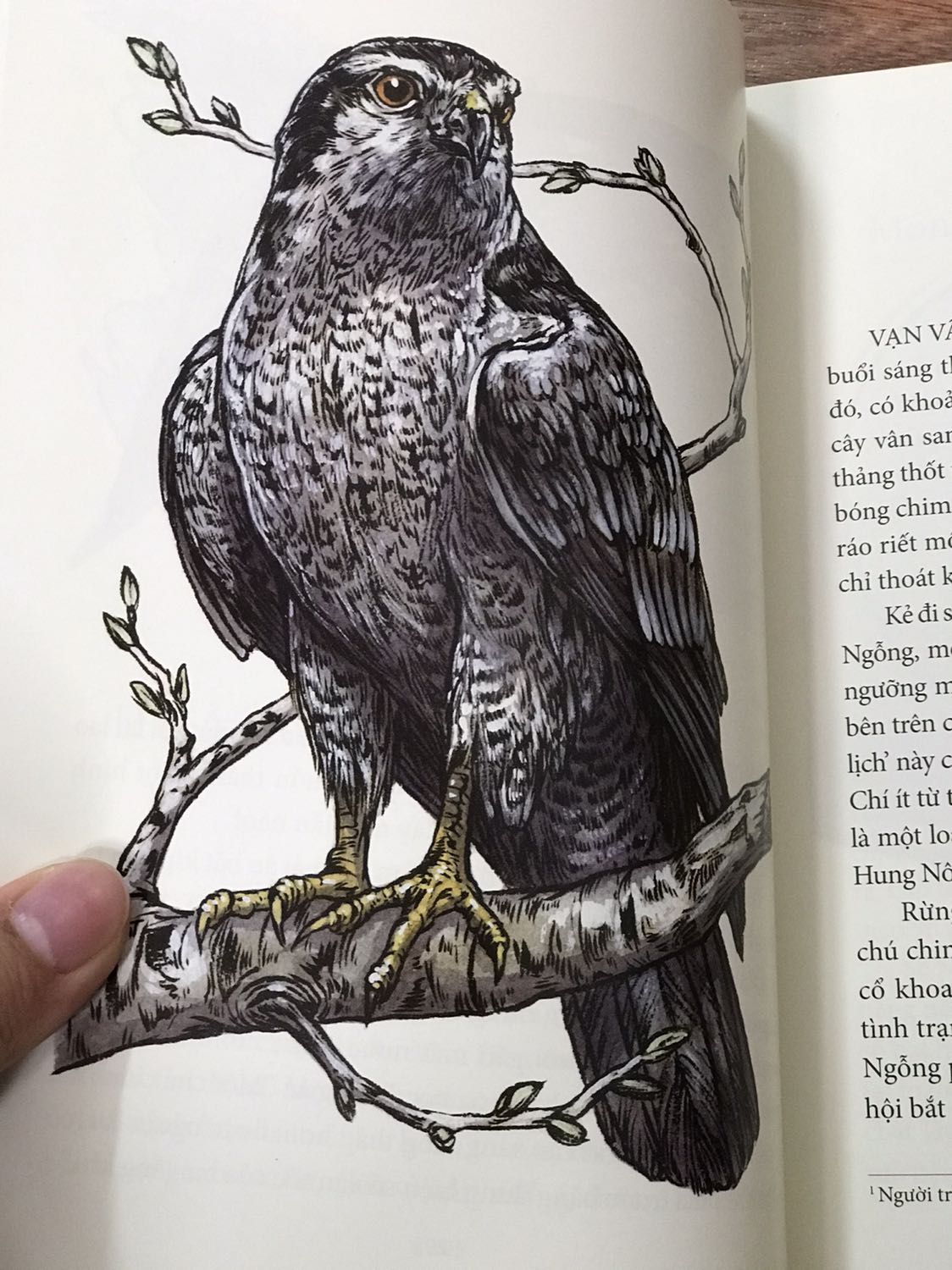 Mua được cuốn này trong đợt sale 50% còn kèm mã của tiki nên rất rẻ. Sách đẹp, nội dung đơn giản dễ hiểu nhưng đầy đủ thông tin. Giấy in màu cực kỳ dày dạn, hình minh họa đẹp miễn chê. Cực kỳ hài lòng luôn.