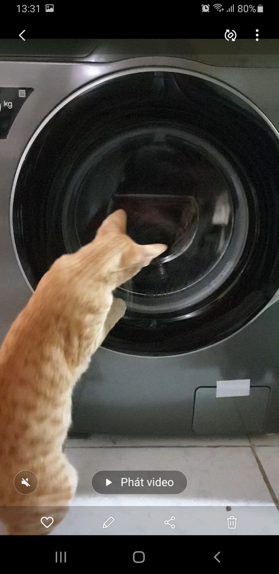 máy giặc sạch, ko bị kéo giãn đồ như cửa trên. có giặc nc nóng khử khuẩn cho đồ cần thiết. nhiều chế độ giặc. ko cần đế nếu không gian ko bị ướt phía dưới. giặc ko ồn. chỉ có ồn xíu lúc mới mở máy.