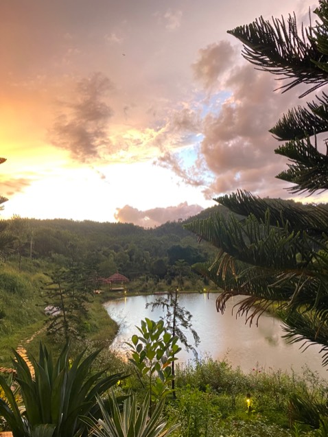 Đèn ok, bọc rất kĩ. Tiki giao khá nhanh hơn trước. Ncl ok hài lòng.