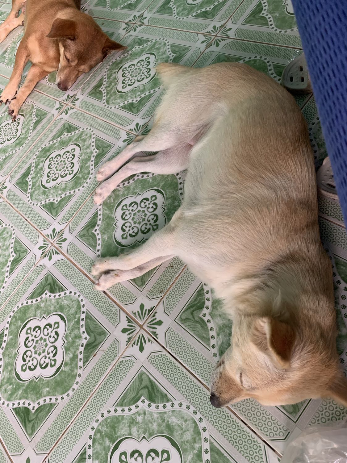 Giao hàng cực kì nhanh , Tiki phục vụ rất tốt . Mình rất hài lòng Tiki