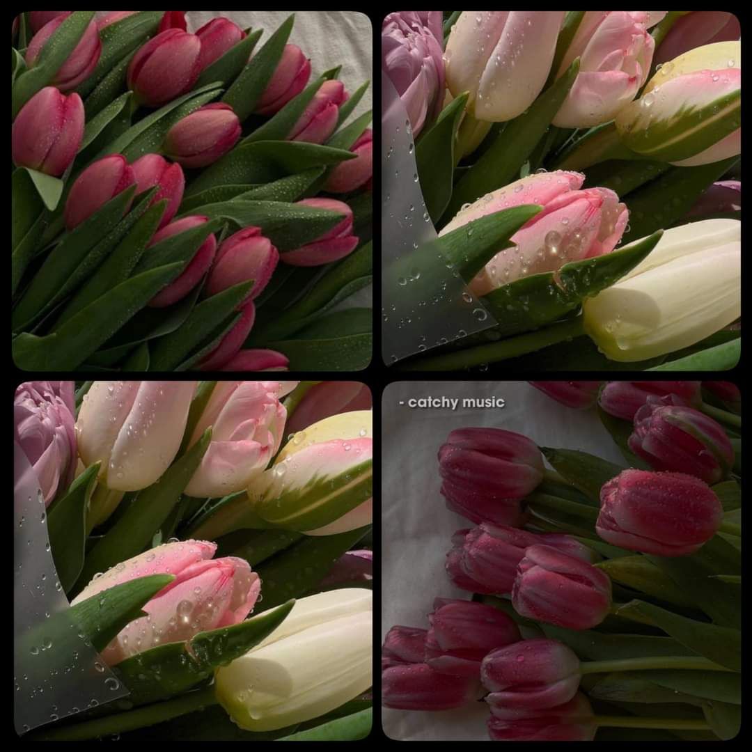 Giao hàng nhanh. Sp đẹp