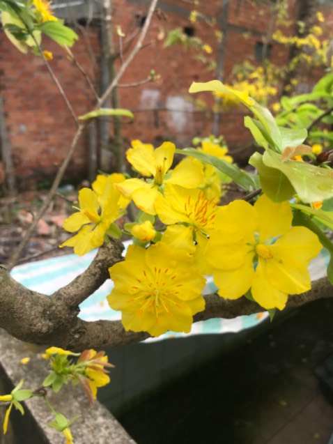 Sản phẩm tốt đã mua nhiều lần vẫn quay lại ủng hộ. Cảm ơn shop