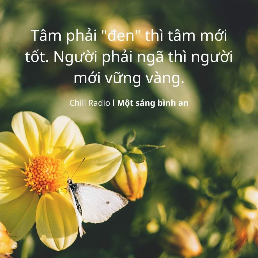 tuyệt vời