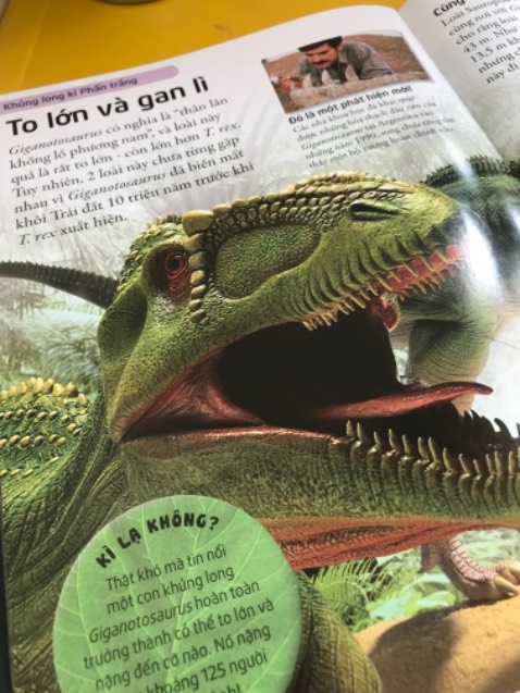 Nội dung phong phú, tranh ảnh đẹp. 
Tiki giao hàng nhanh 💯