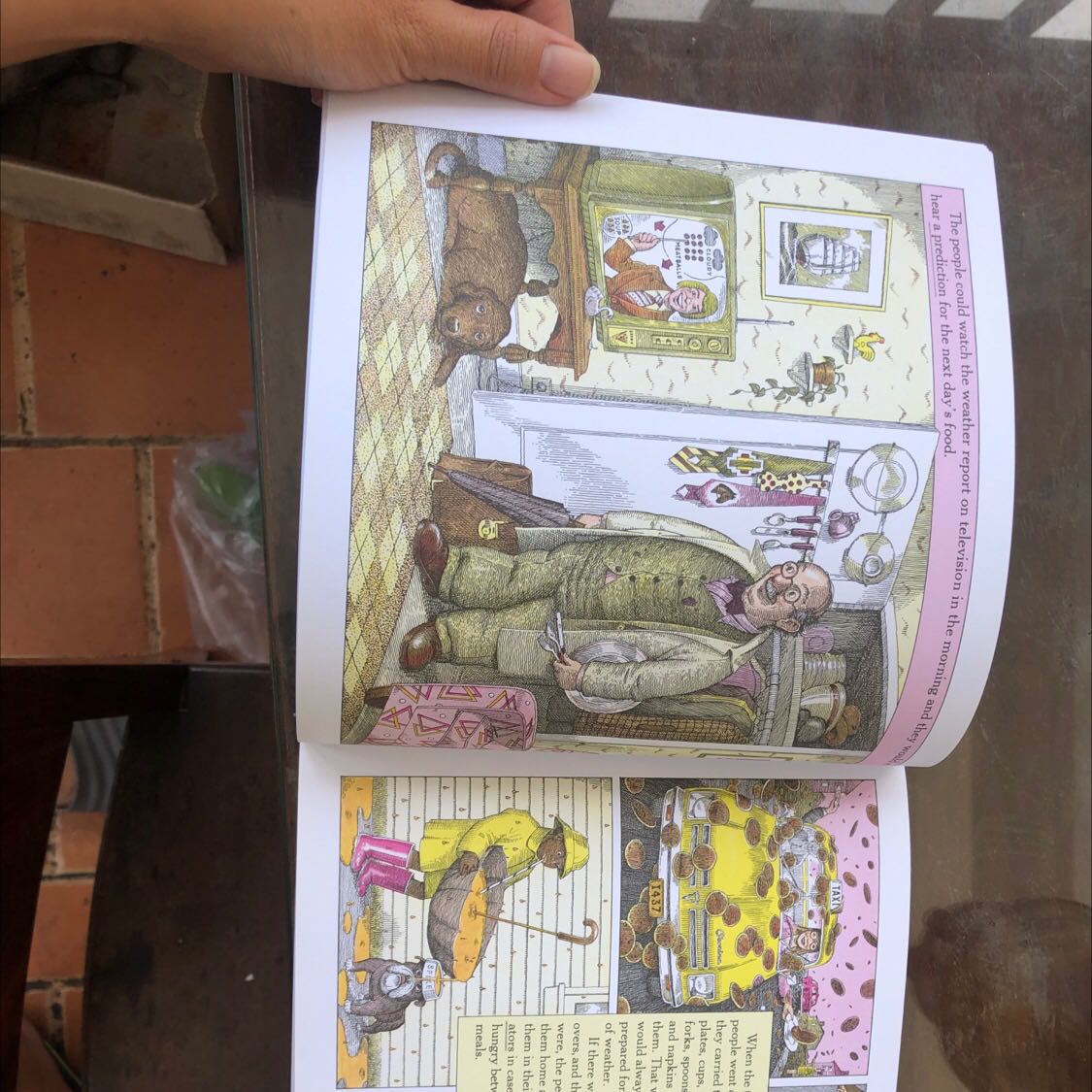 1 trong những quyển truyện đáng để đọc cho trẻ nhỏ ! Hình minh hoạ to ở mỗi trang nên bé mình 4 tuổi có thể nội dung tiếng Anh mà không cần dịch sang tiếng Việt. Mình thích ở điểm: nội dung tiếng Việt được dịch cũng rất hay và tách riêng ở phía sau, nên không bị rối, dễ dàng chọn 1 ngôn ngữ để đọc cho bé mỗi lần!