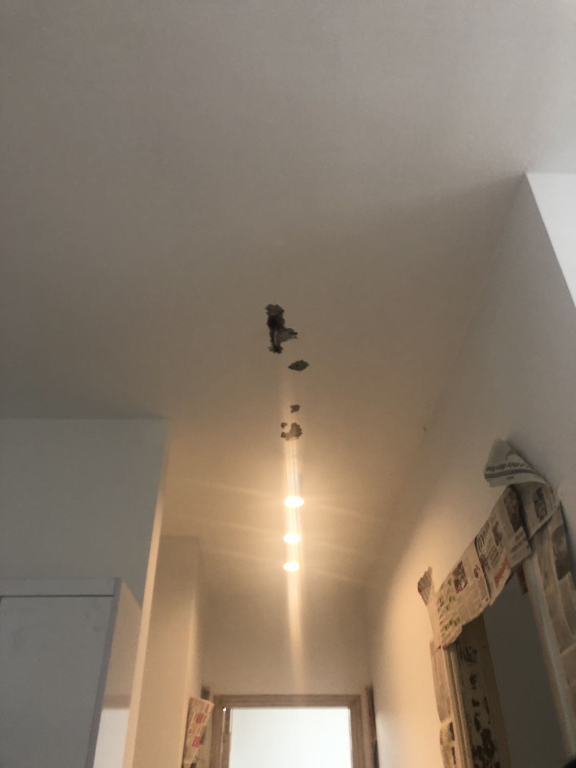 Mình nhận sản phẩm đóng gói cẩn thận, vì mình sửa nhà nên thợ điện tự lắp lên. Phụ kiện đầy đủ, bóng mới tinh. Mình mua 3 sản phẩm (đèn treo phòng khách, đèn thả và đèn rọi này) thì có 2 sản phẩm ok. 1 sản phẩm bị hỏng 1 bóng.