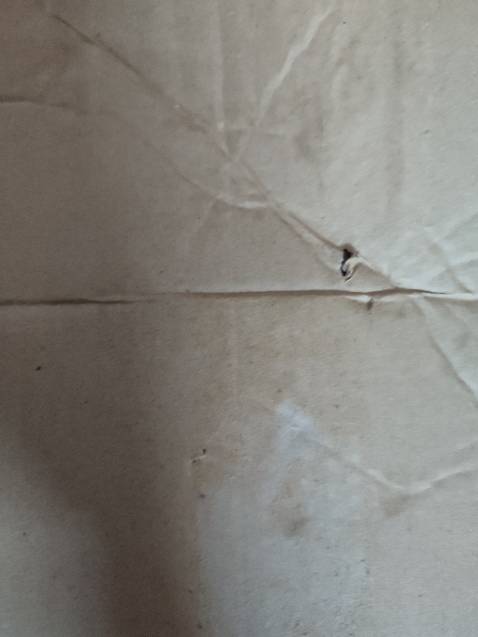 Nước sốt ngon, vị béo đậm đà , giao hàng nhanh