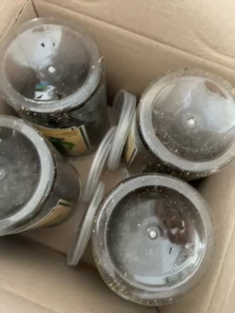 Mẫu mã đẹp, ăn ngon, sẽ ủng hộ tiếp