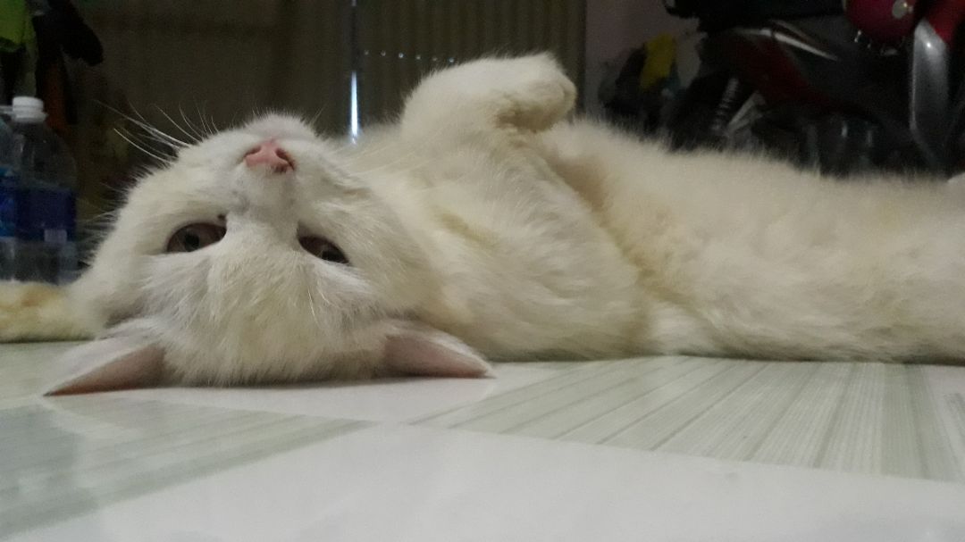 thời gian giao hàng nhanh chóng, đóng gói đep, sẽ tiếp tục ủng hộ nếu chất lượng tốt