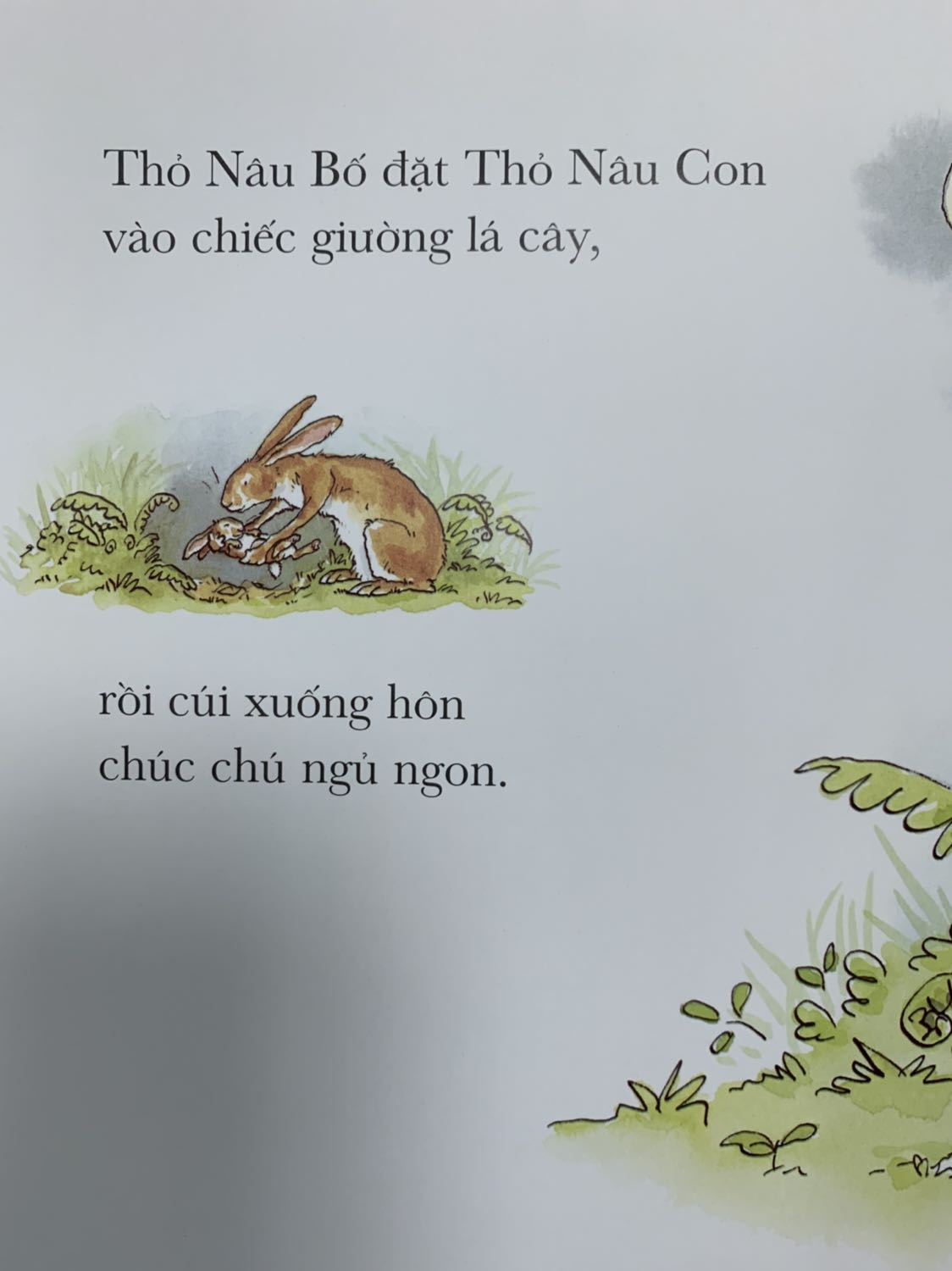 Một câu chuyện nhẹ nhàng mà vô cùng cảm động. 
Tình cha lúc nào cũng bao la hơn biển trời
