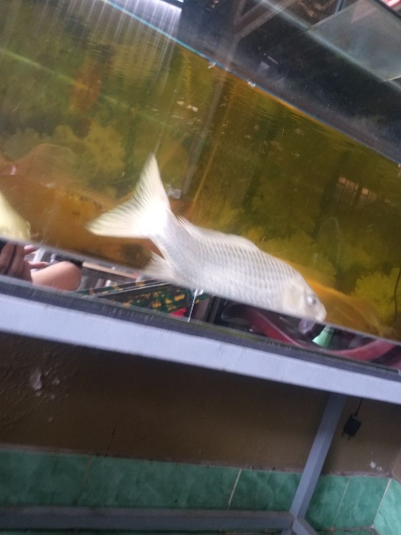 0k0k0k0k9kjg0ogjkjc tốt nhất