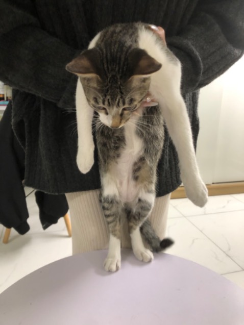 Để vài hôm thì nứt ra một khe nhỏ, đắp thêm mới vào vết cũ thì ok