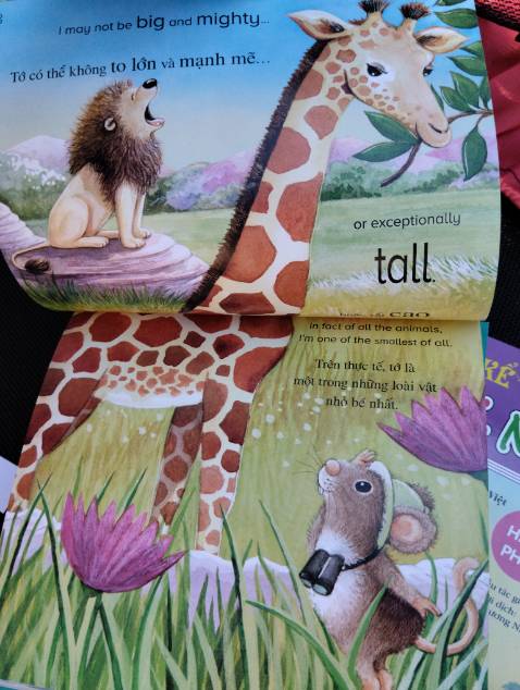 Sách rất đẹp, giống y như mấy quyển ehon Châu Âu phiên bản nhỏ, giá rẻ hơn rất nhiều