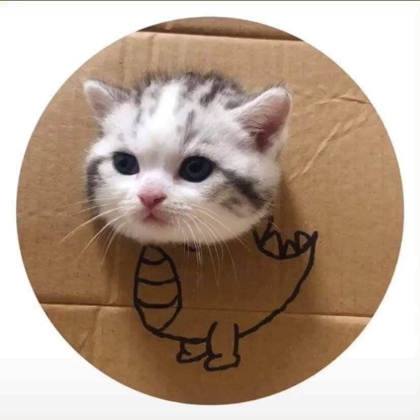 rất ok nhé, ngày trc mua sách của tiki là hên xui vô cùng vì sợ bị nát nhưng bây h tiki đã chú ý hơn về vc vận chuyển món đồ nên lần này sách siêu đẹp ko nát luôn nha ?. đồng thơi sách cũng mới, đẹp nên cho đánh gia 5 sao luôn nha