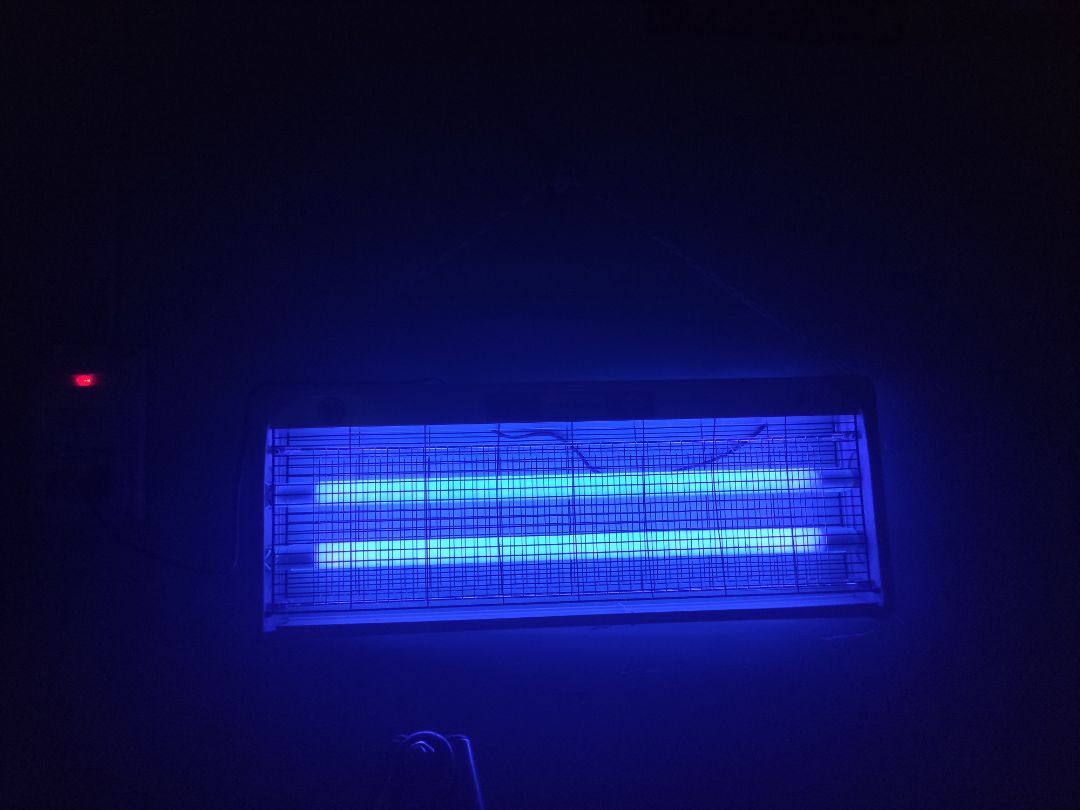 Giao hàng cực nhanh, cắm xài thử 30' tiêu diệt dc hơn chục em, con to nó nổ to giật mình luôn, con nhỏ chỏ dính vào thôi. Hài lòng ?