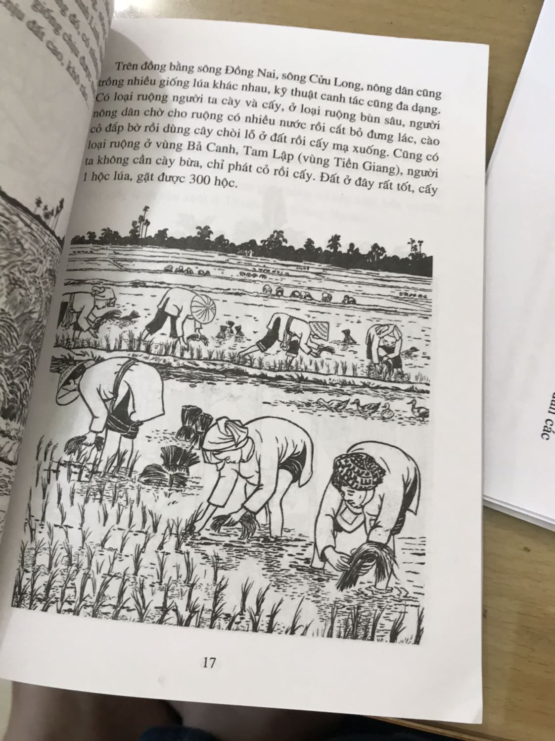 Truyện hay, nội dung hấp dẫn. Minh hoạ sinh động. Truyền tải nhiều kiến thức về lịch sử. Tiki giao hàng nhanh. Nhân viên thân thiện, lịch sự.