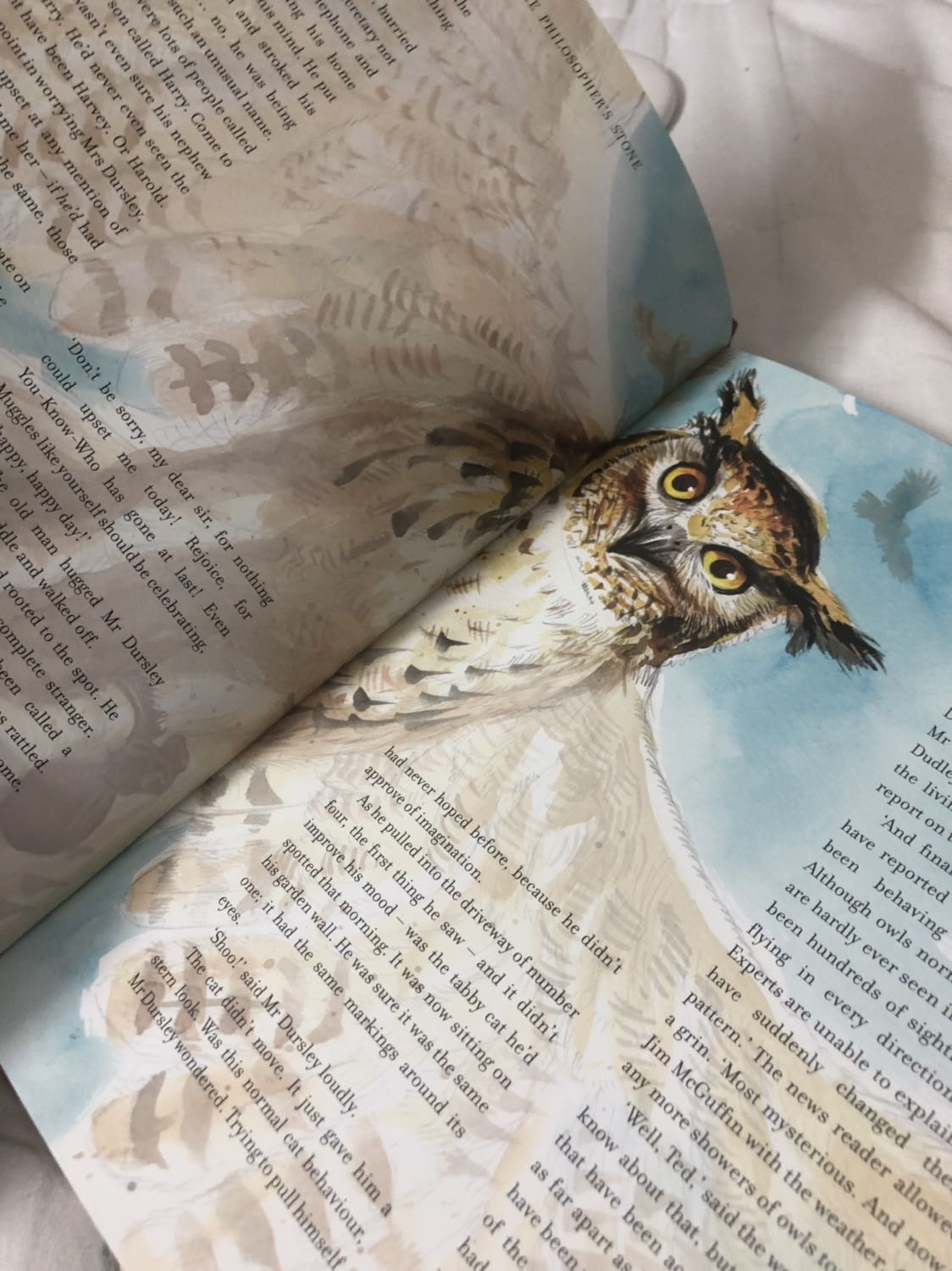 Chất lượng giấy và bảo quản tốt. Bìa plastic tự bọc ở ngoài vì sách quá khổ cho dịch vụ book care của Tiki.