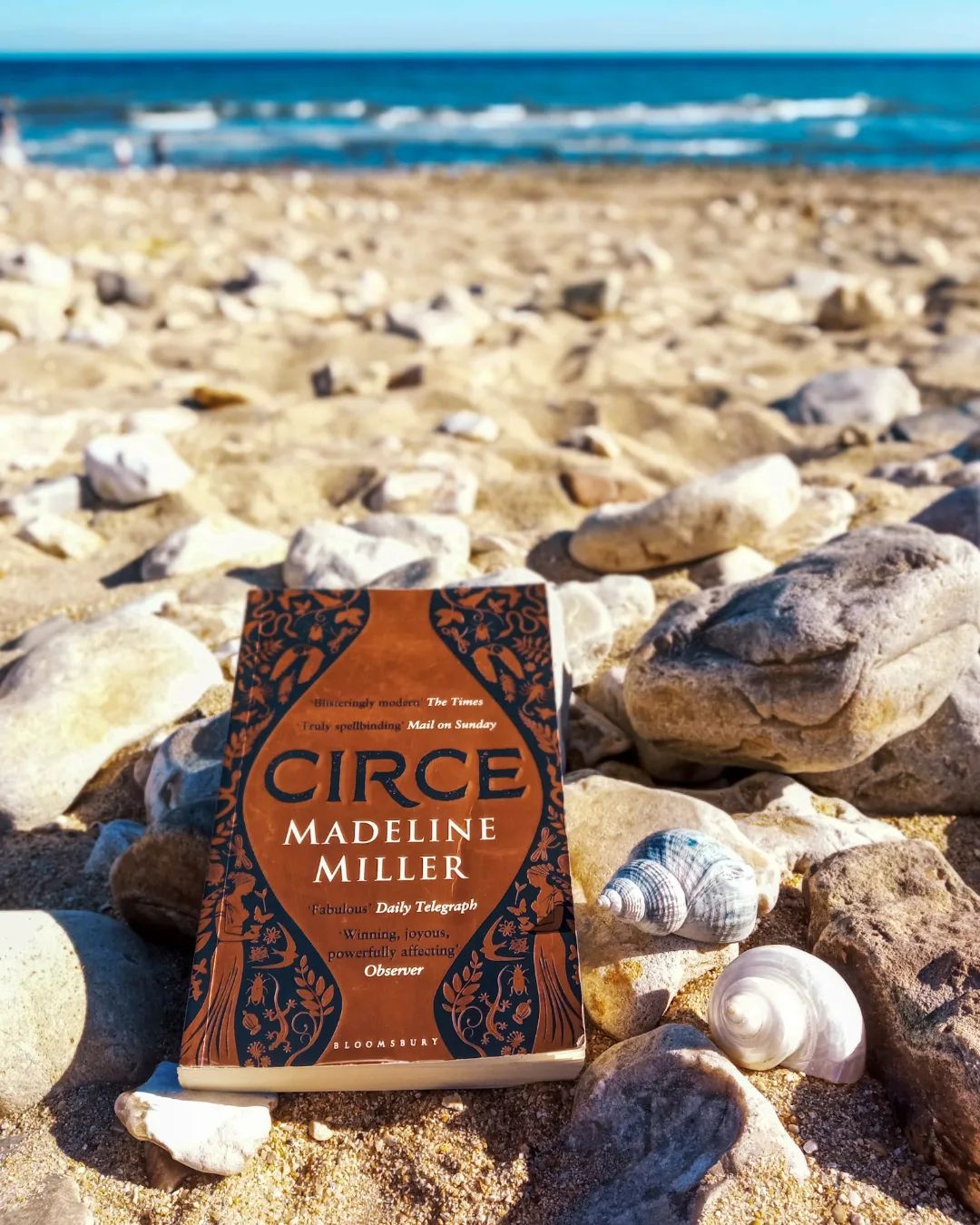 Giao hàng nhanh chóng, sách nhỏ gọn xinh xắn. Văn phong của Madeleine Miller lúc nào cũng đẹp.