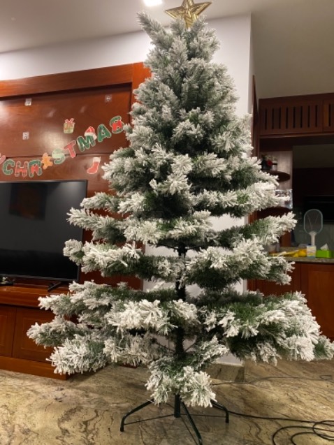 Đẹp lắm, tán dày, đẹp, dễ lắp. Hàng của công ty nhìn xịn lắm. Có thêm 5 dây kim tuyến xinh. Chưa có đồ trang trí nhưng cũng thấy thích rồi