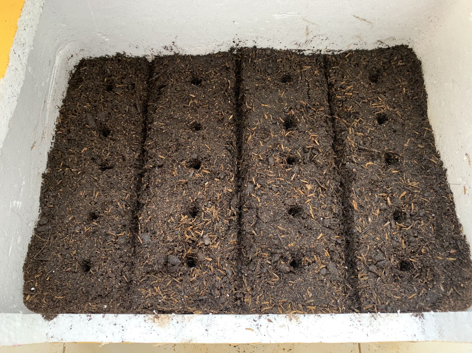 Mình đặt mua 2 gói mà shop đóng gói có tâm lắm luôn tưởng mua cuốn tập ko á :D, sau 2 tháng trồng mình quay lại review nhé