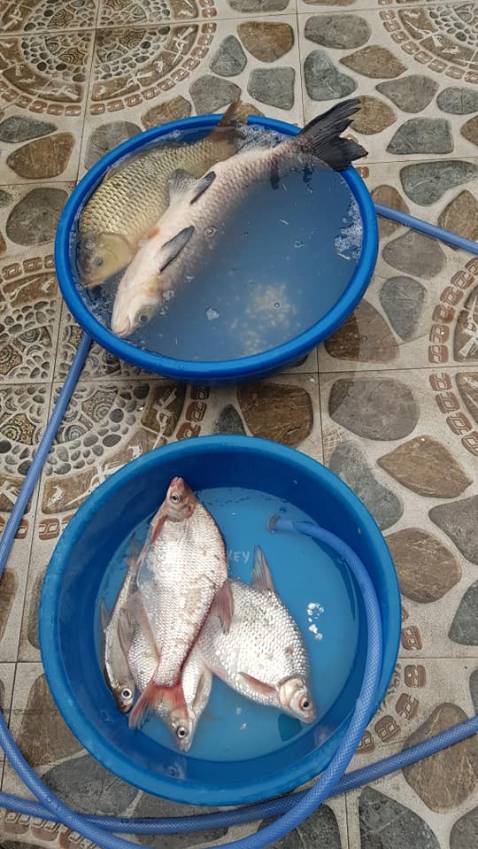 Sản phẩm như hình, giao hàng nhanh, chất lượng chưa sử dụng, ok