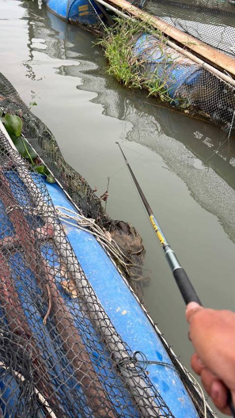 Đã mua 1 lần rùi.lần này lấy 2 cái.sản phẩm tốt trong tầm giá