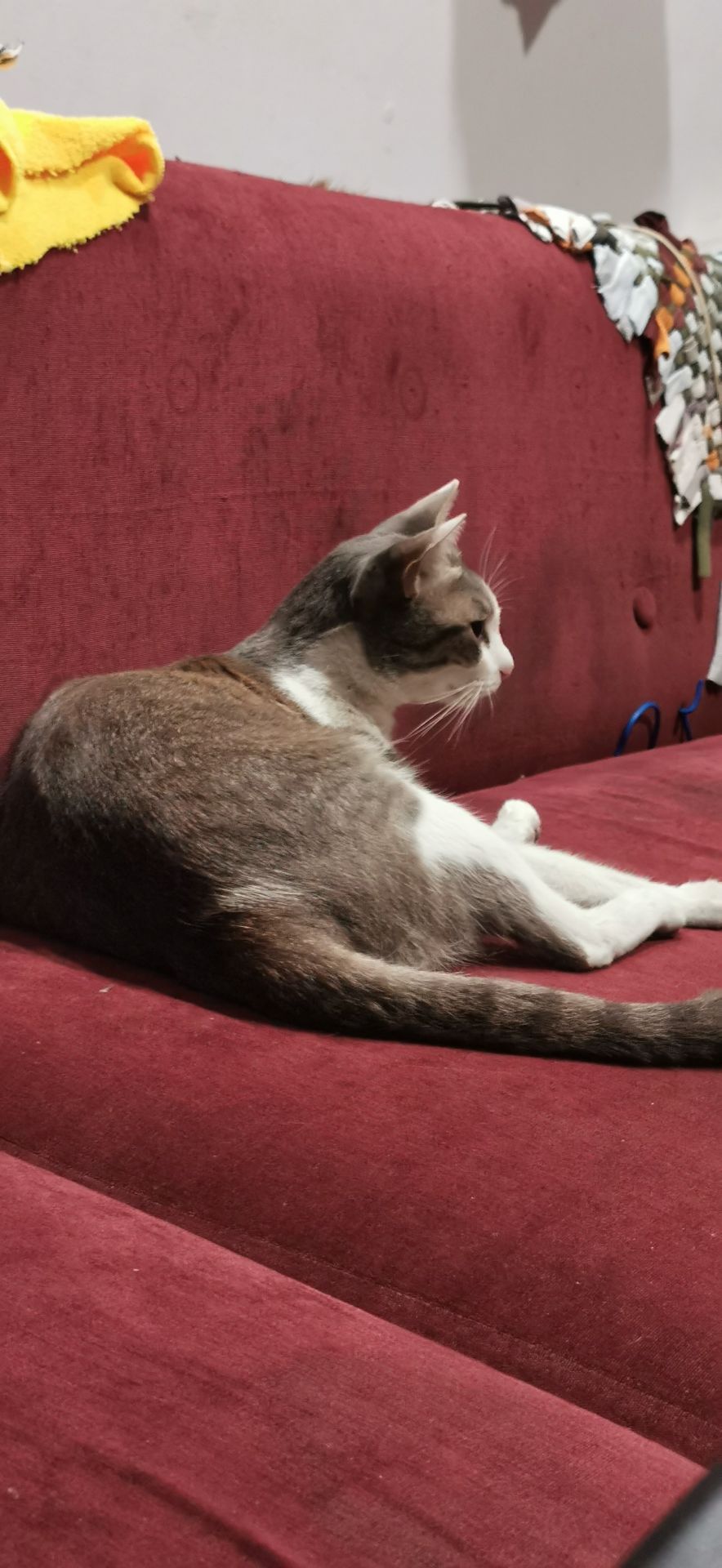 Đã nhận hàng nhưng Chưa nấu ăn