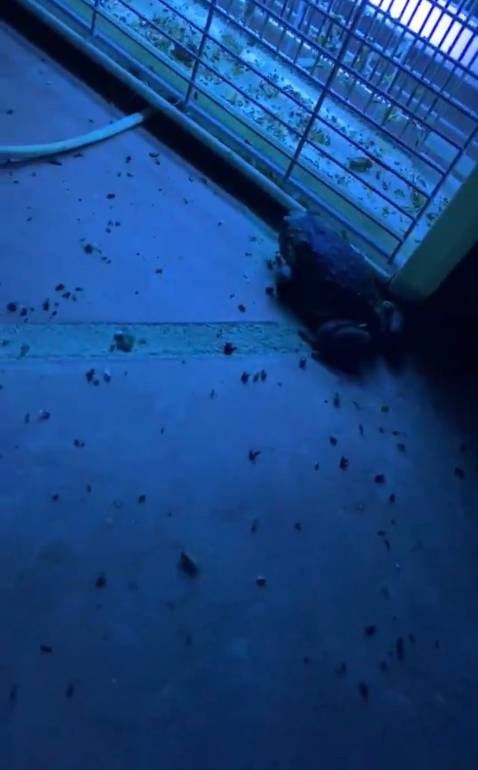 Đã mua nhiều lần ở shop, sản phẩm chất lượng sẽ ủng hộ và giới thiệu cho người thân mua thêm. diệt muỗi và côn trùng hiệu quả lắm. 
Nếu bây giờ được chọn lựa một lần nữa
Thì chắc có lẽ vẫn yêu em như ngày xưa
Nếu bây giờ được chọn lựa điều anh ước mơ
Thì anh tin anh vẫn mơ như anh từng mơ