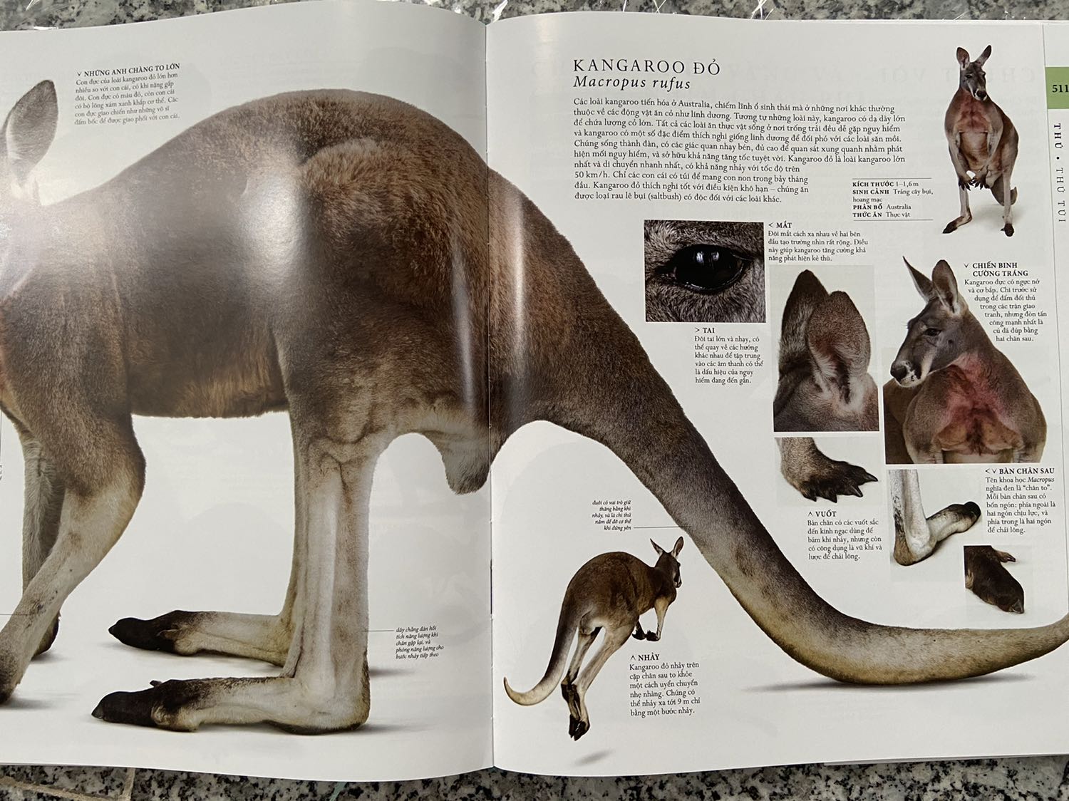 Sách đóng gói kĩ, có lớp bìa bên ngoài nên sách bên trong không tì vết. 
Mình thấy bố cục sách rõ ràng, dễ hiểu, nội dung chi tiết, đặc biệt giấy dày và màu sắc cực đẹp, rất đáng tiền.