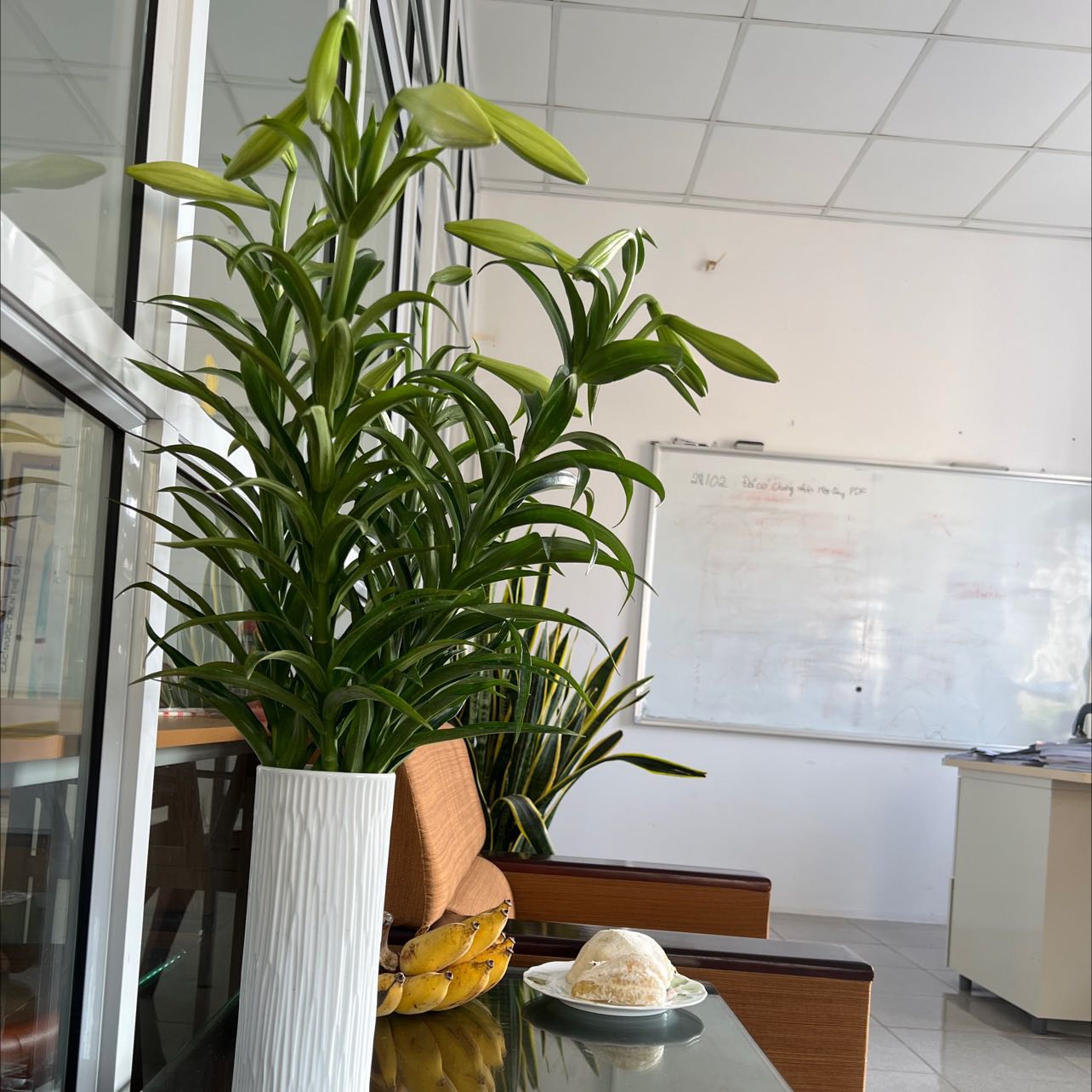 Sách hay mình đánh giá hơi muộn