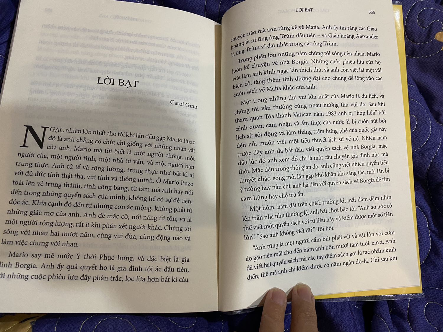 Đây được xem là cuốn sách cuối cùng Mario Puzo viết trước khi ông qua đời, và vợ ông đã giúp ông biên tập lại hoàn chỉnh.
Nội dung sách tập trung vào quá trình nắm giữ quyền lực cho đến khi sa cơ của gia đình Borgio (có vẻ là gia đình có thật trong lịch sử) cùng với lịch sử nước Ý trong thời kỳ Phục hưng. Mưu mô quyền lực, tình cảm loạn luân, hạnh phúc cá nhân bị hi sinh để bồi đắp cho sự thịnh vượng của gia tộc, tất cả cuối cùng đều nằm lại cùng với đất. Chỉ có cô gái Lucrezia tội nghiệp là còn sống để đưa tang cho người anh trai và cũng là tình yêu đầu đời của cô. 
Cảm giác sau cùng đọng lại là bi thương và chán nản với một thời kỳ xã hội như thế. Bù lại thì cuốn sách cũng cung cấp khá nhiều kiến thức về nước Ý thế kỷ 15, về những tài năng của thời kỳ này như Michelangelo, Leonardo da Vinci