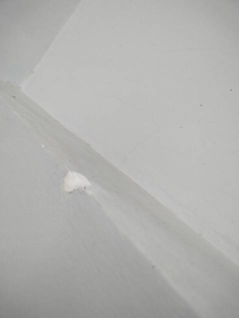 Keo này rất tiện dụng, trước kia vá 1 chút cũng phải trộn chút xi măng, có keo này chỉ cần nặn ra là vá ngay. Khi khô nó bị lõm vào, chắc phải vá vài lần mới được. Không biết sau khi mở nắp sẽ để được bao lâu.